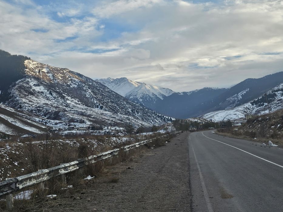 Трезвый водитель