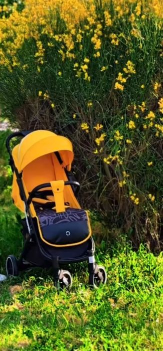 Дубайская коляска