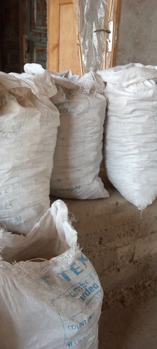 Беда поя, курутилган нон.