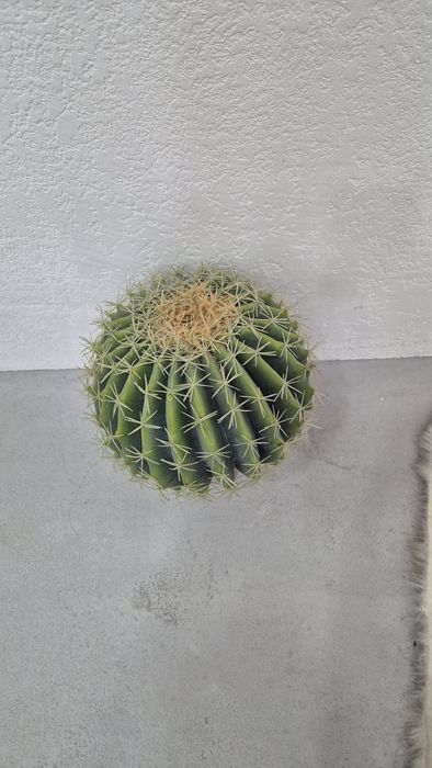 Искусственные цветы. Кактусы