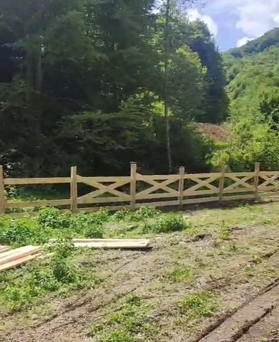 Stalpi de gard din stejar