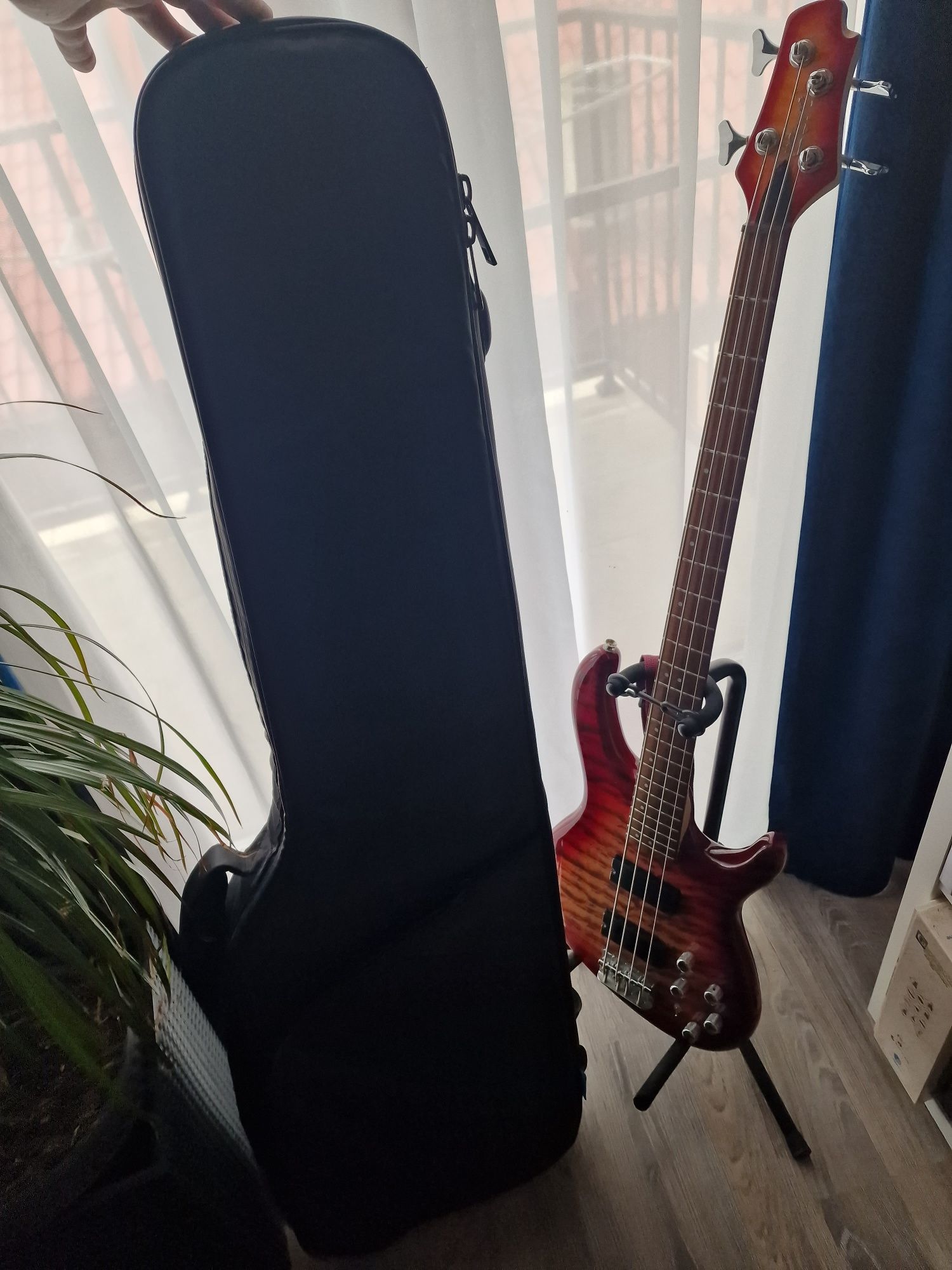 Chitara Bass Cort DLX PLUS