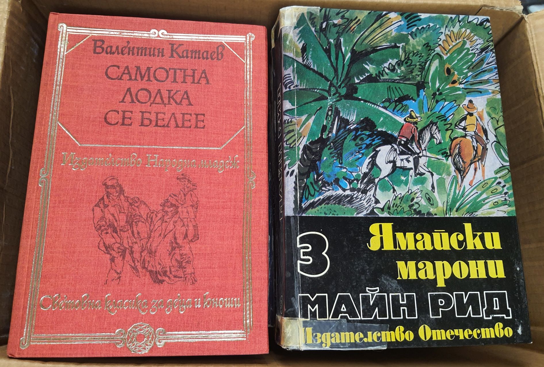 Много добре запазени книги, 500 бр.