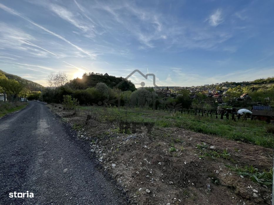 Teren la poalele Cetății Cisnadioarei de vânzare/1250 mp