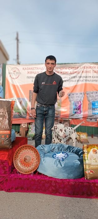 Кобель далматина на вязку