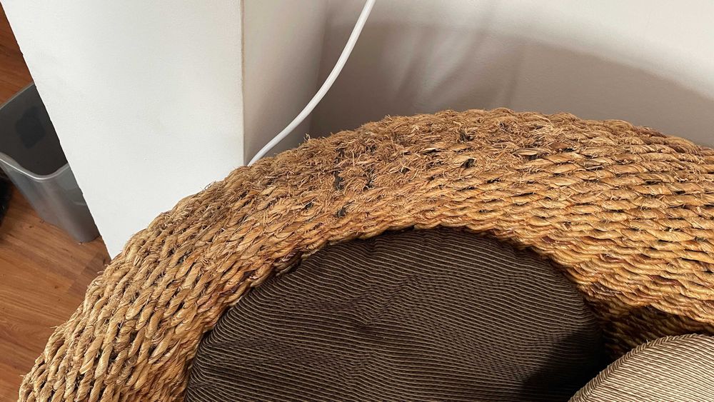 Canapea / Coltar Rachita