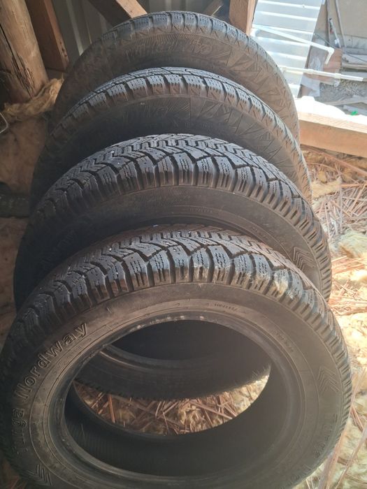 Прадам зимный лепучка