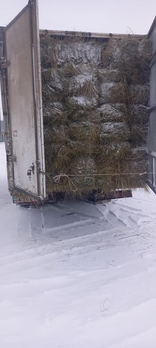 Продам сено тюками