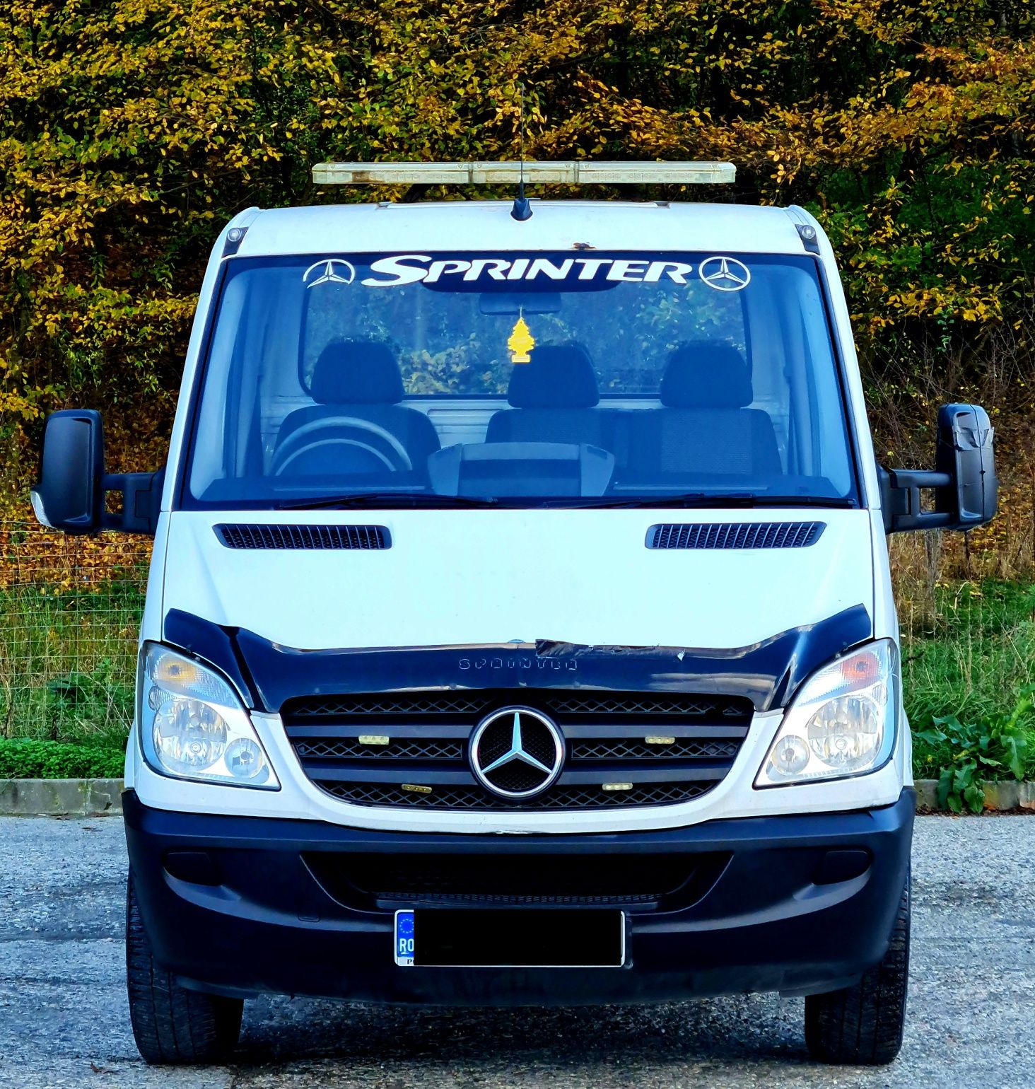 Autoplatforma Mercedes Benz Sprinter 313 CDI Euro 5