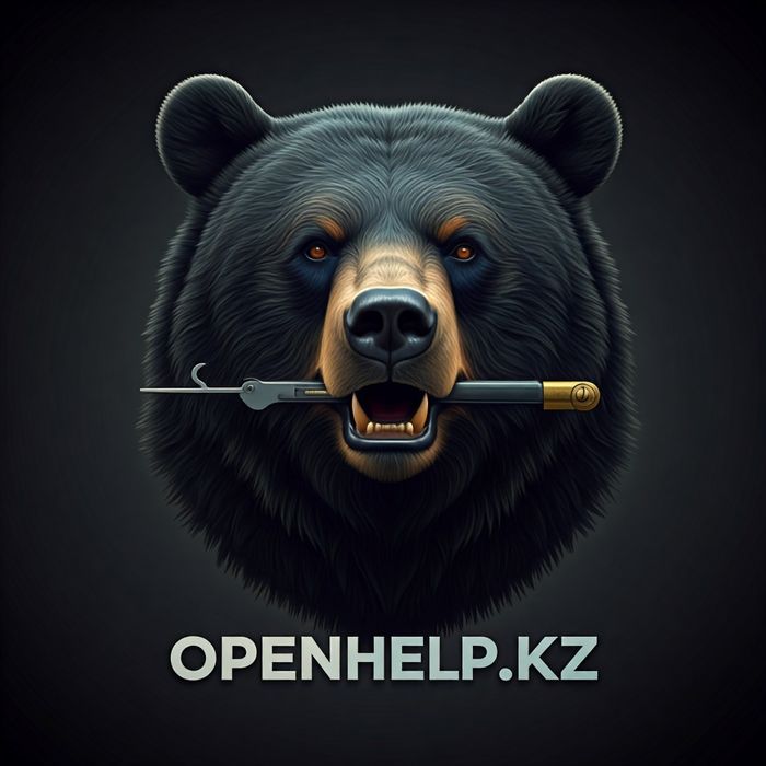 Вскрытие любых видов замков. Вскрыть замок, сейф, квартиру.