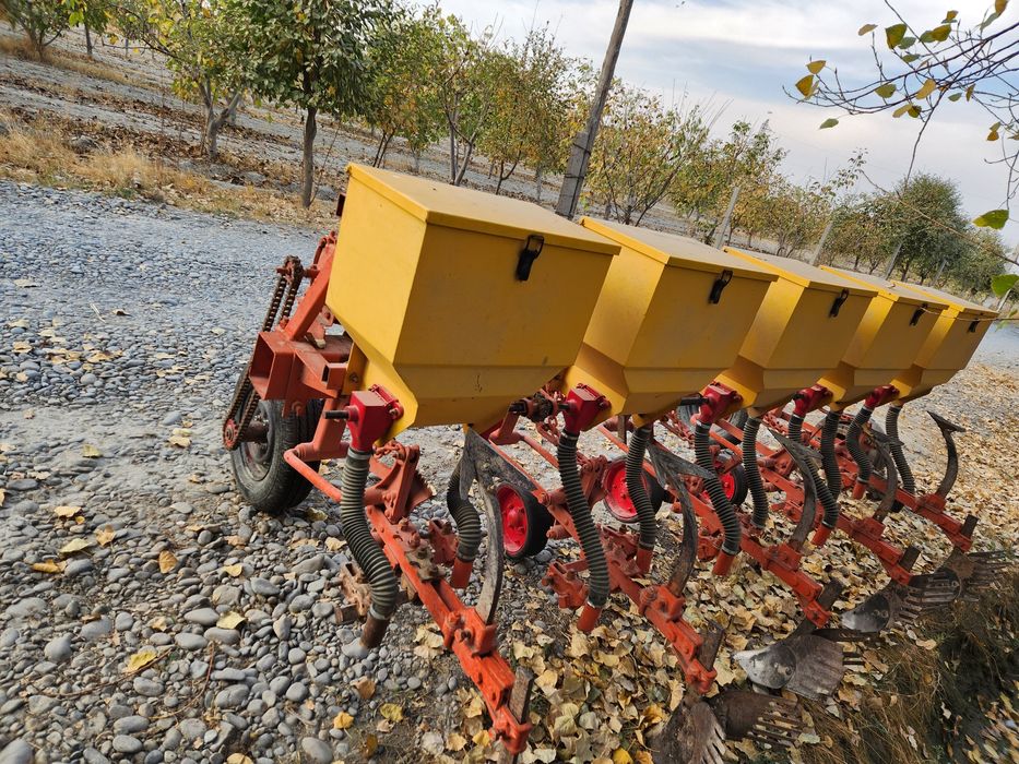 Belarus MTZ 80.1.  Kultuvatsiya rassiski.