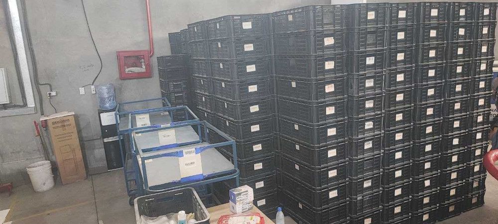 Пластиковые ящики 44×30×18 — в наличии!