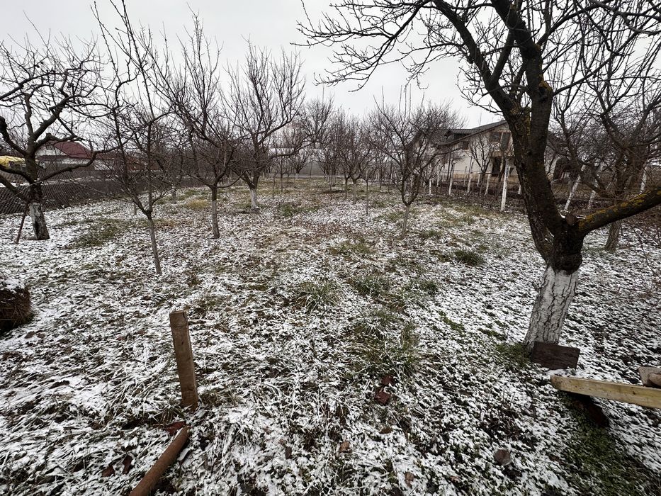 Teren de vanzare construibil, Comuna Tomșani, 725mp