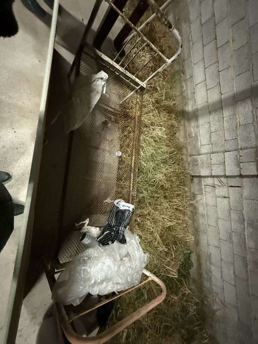 кровать металлический