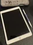 Ipad pro 9.7 256gb wi fi + sim