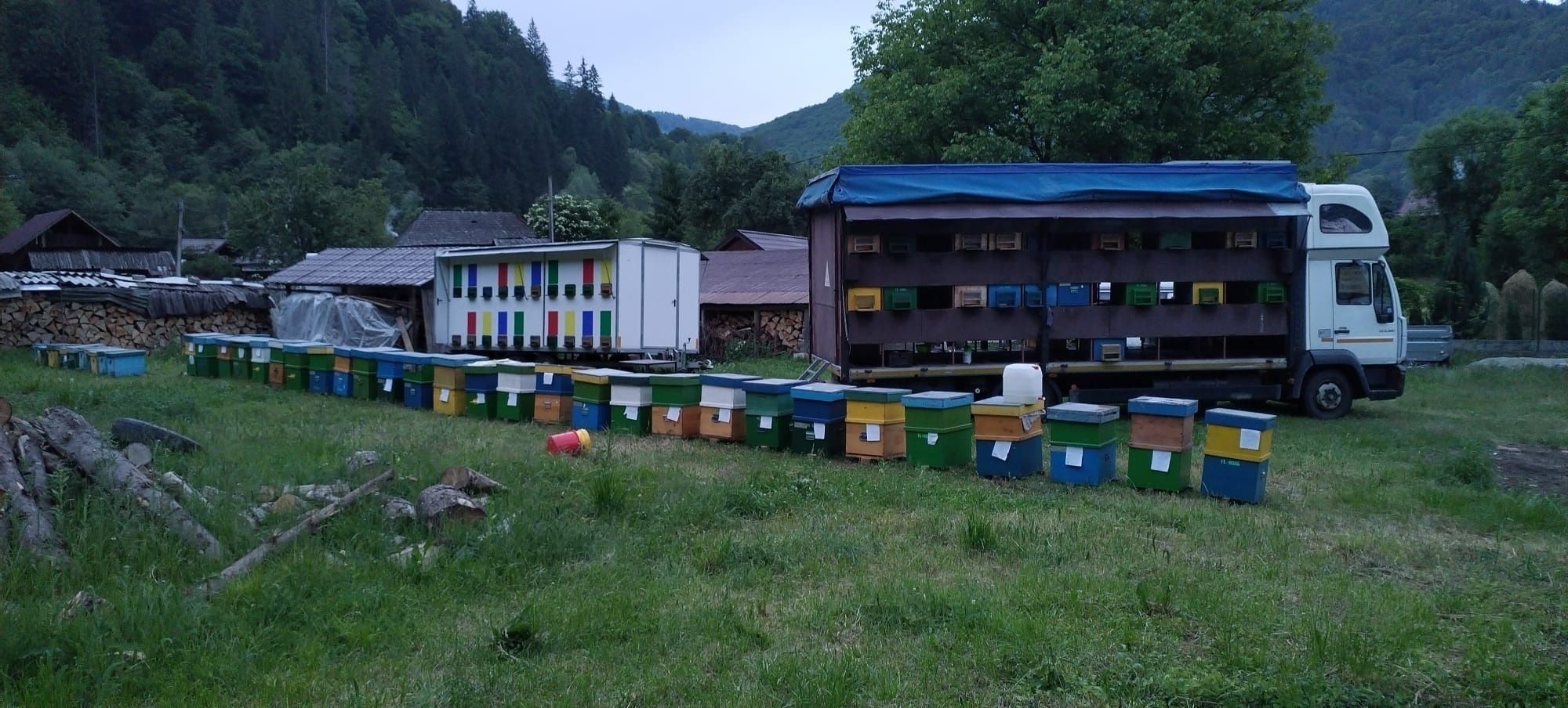 Remorcă Apicola + Familii de Albine(500lei)
