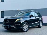 Mercedes-Benz ML 250 Bluetec / 4Matic /AMG Line /Accept unele variante