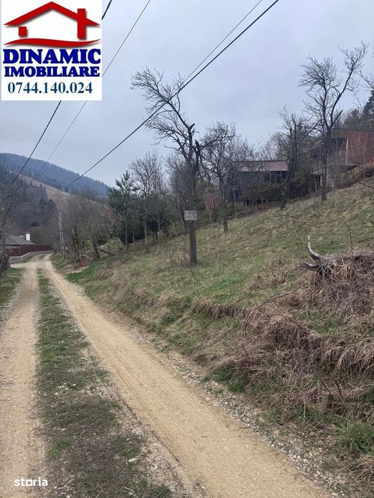 6000 MP intravilan, sat Bistrita, 9 Eur/MP