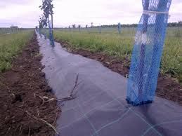 Umbrire culturi/sere/solarii-35% - 4.2x50m-protectie UV
