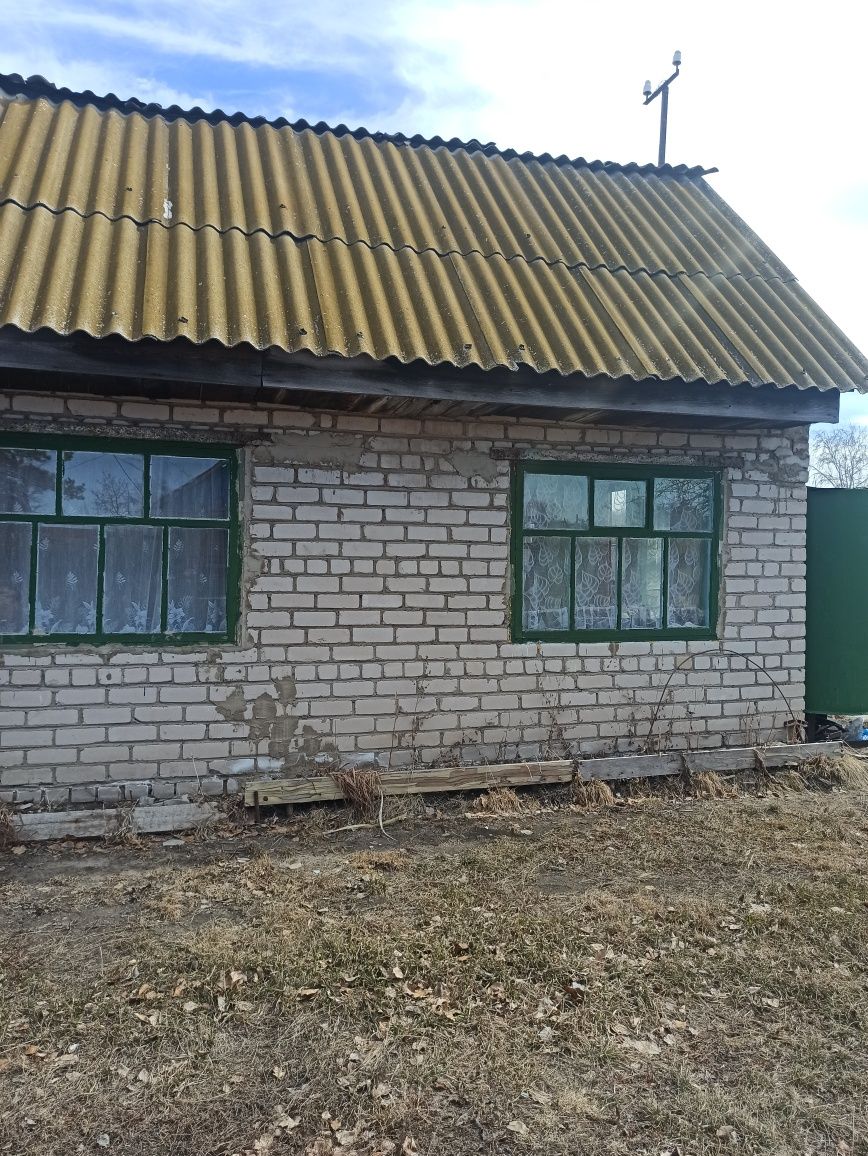 Продам дачу в обществе Борки