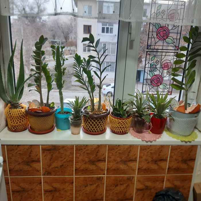 Гуллар Сотилади хар хел