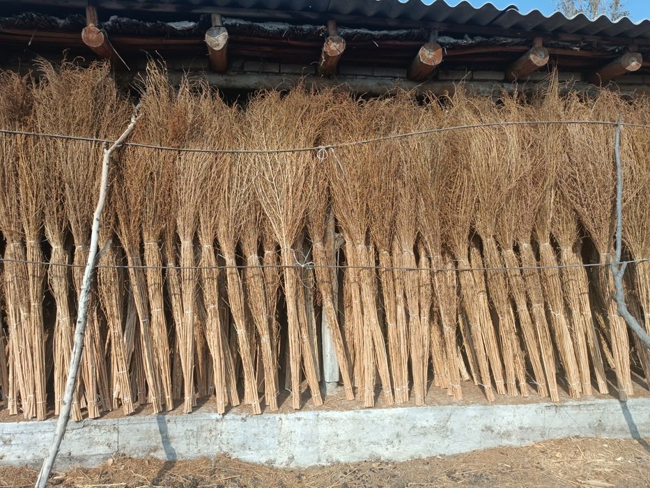 Katta ko'cha supurgi, shipirgi