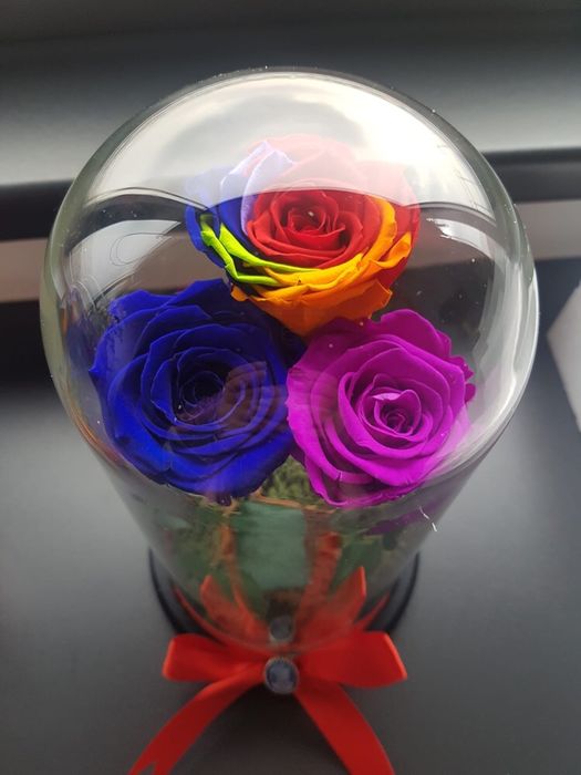 Cadou trandafir criogenat in cupola cristalina