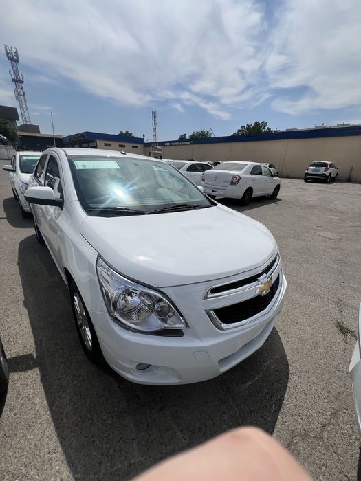 Cobalt Style Mcm 2026