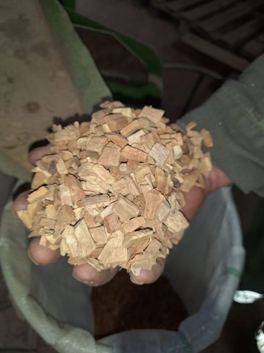 Rumeguș de fag pentru afumatoare de diferite dimensiuni