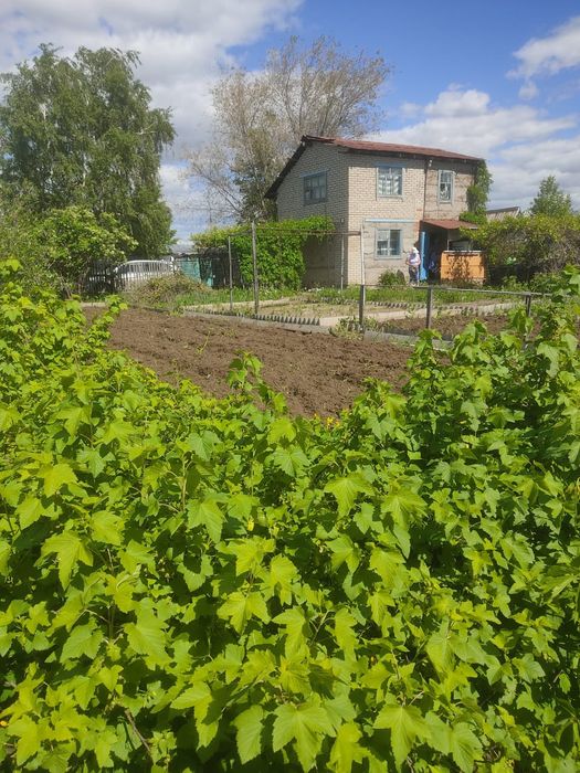 Продам дачу в С.О. Элеваторщик — дом, участок,
