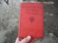 Wiles Of The Wicked by William Le Queux Editia 1919