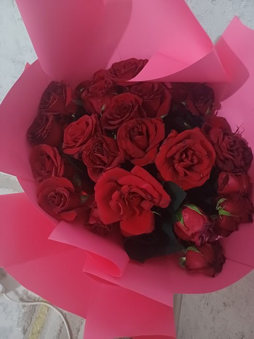 Спа кабинка пилинг массаж