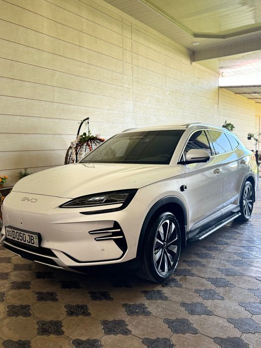 Byd champion smart 605 km