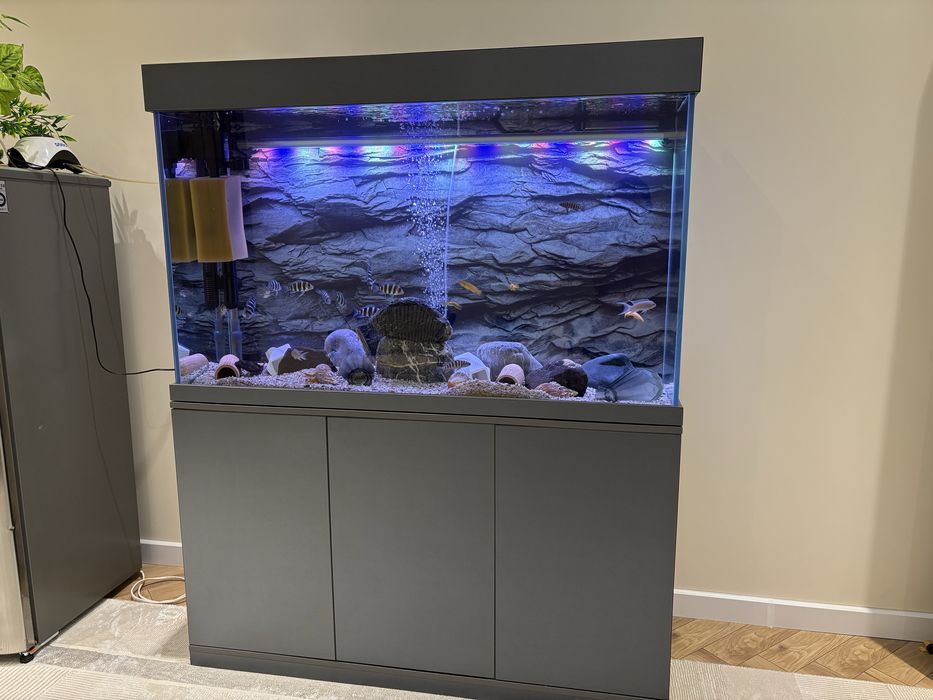 Akvarium 370lt komplekt зур холатда ойнаси 10 лик оптивайт хитой