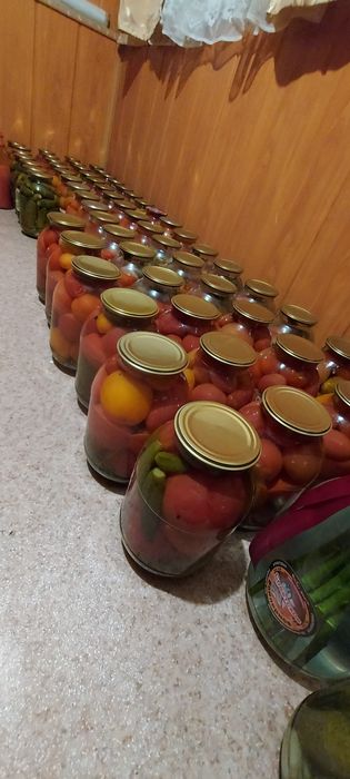 Продам вкусные помидоры