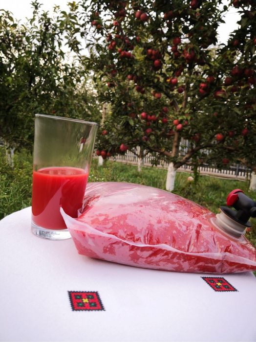 Suc de fructe si legume pasteurizat/pasteurizare fructe