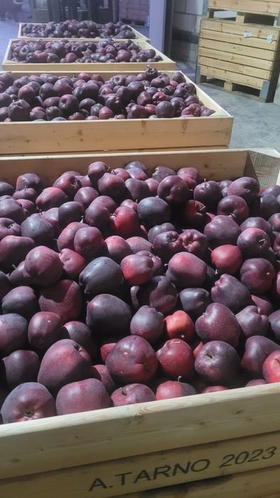 Vând mere și pere de consum