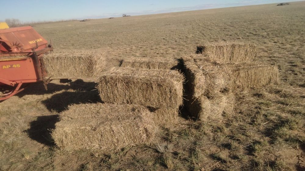 Пресса тюки драва