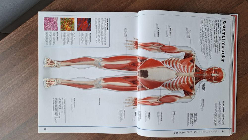 Enciclopedia Corpul uman