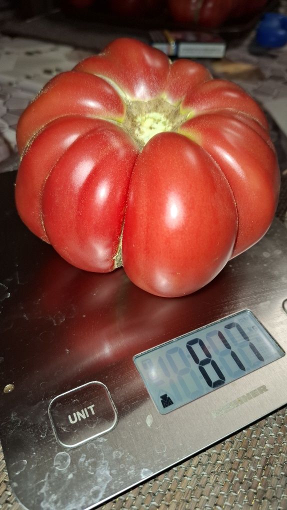 Vînd roșii bio producție  proprie