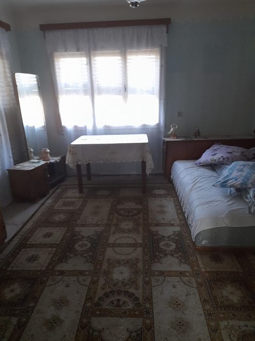 Casa in Tarnova, jud. Arad - 741mp - Gradina