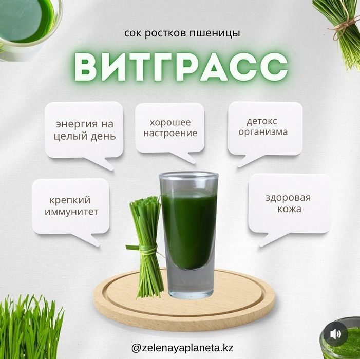 Витграсс в шортах | Энергия, восстановление, иммунитет