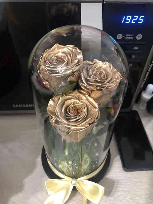 Trandafiri criogenat auriu 17-20-25 cm