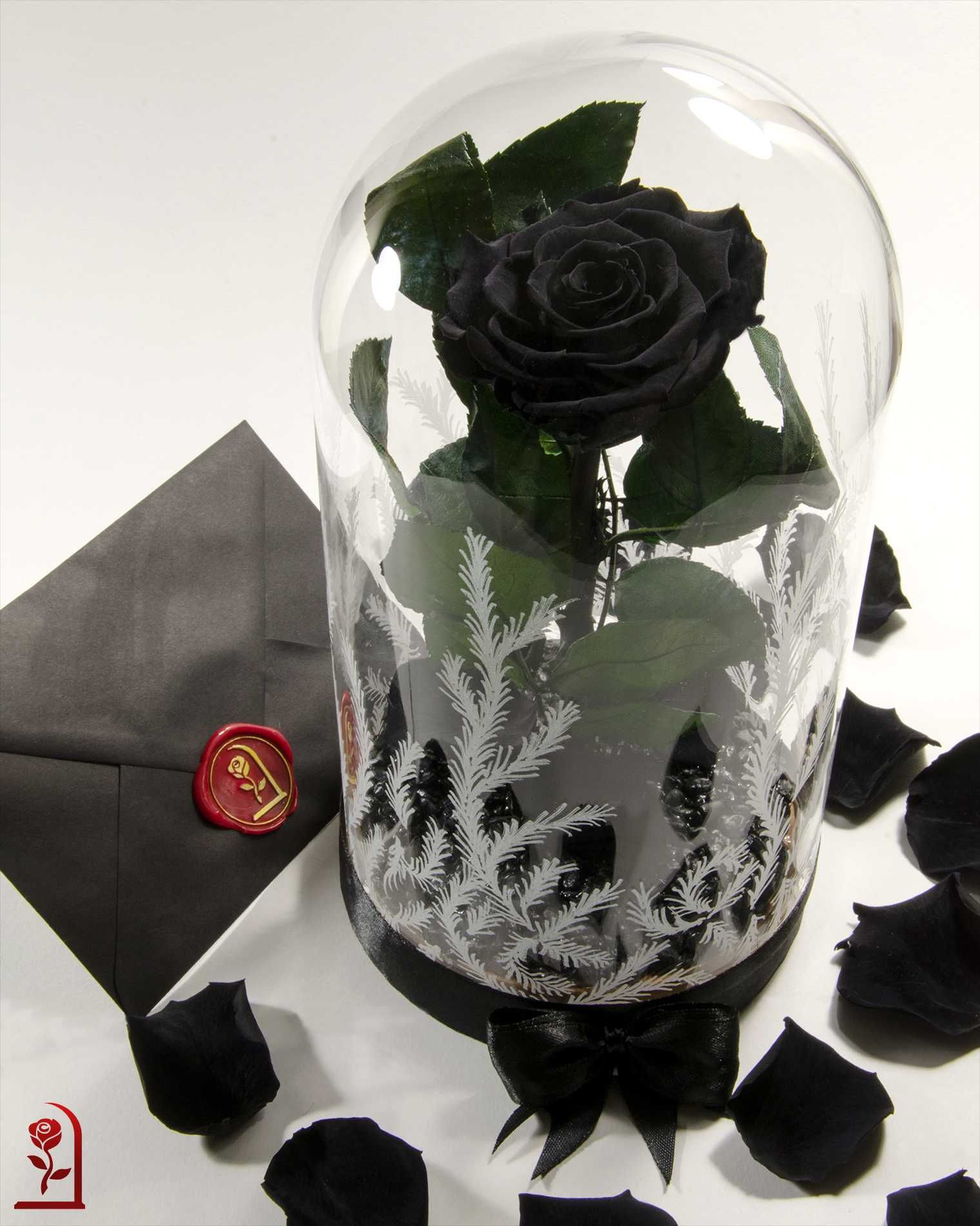 Истинска Черна Вечна Роза в ГОЛЯМА Стъкленица/ Подарък за Рожден Ден