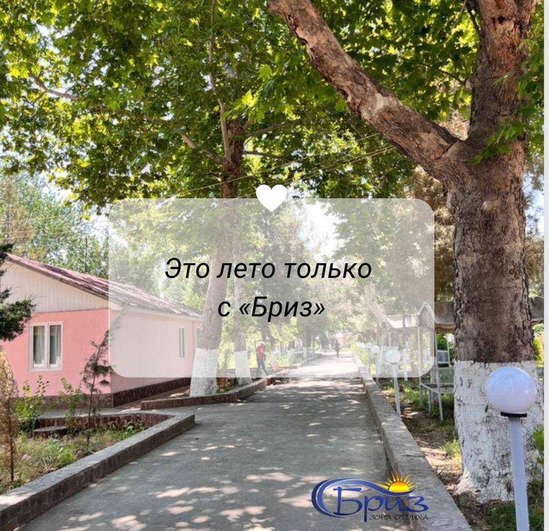 Пикник на Ташморе: топчаны, теплая вода и рыбалка в «Бриз»
