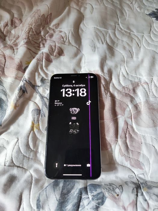Apple iphone X без гарантий