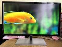 Монитор AOC U2879VF 28" W-LED 4К (3840 x 2160), Черен