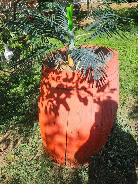 Продава се Къща в с. Несла, Област София-област - 140 кв.м за 608 €/кв.м - Снимка #3