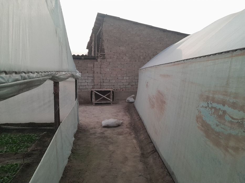 Уй сотилади 8 сотих