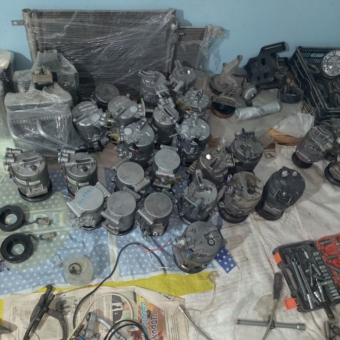 Kandisaner kaptiva maibga kobtga spark jentra neksyaga bor horat zòr